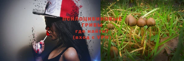 прущие крисы Алексеевка