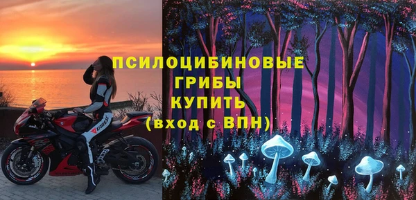 твердый Алзамай