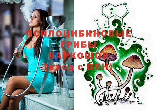 героин Алексин